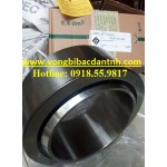 BẠC ĐẠN GE200-UK-2RS - INA